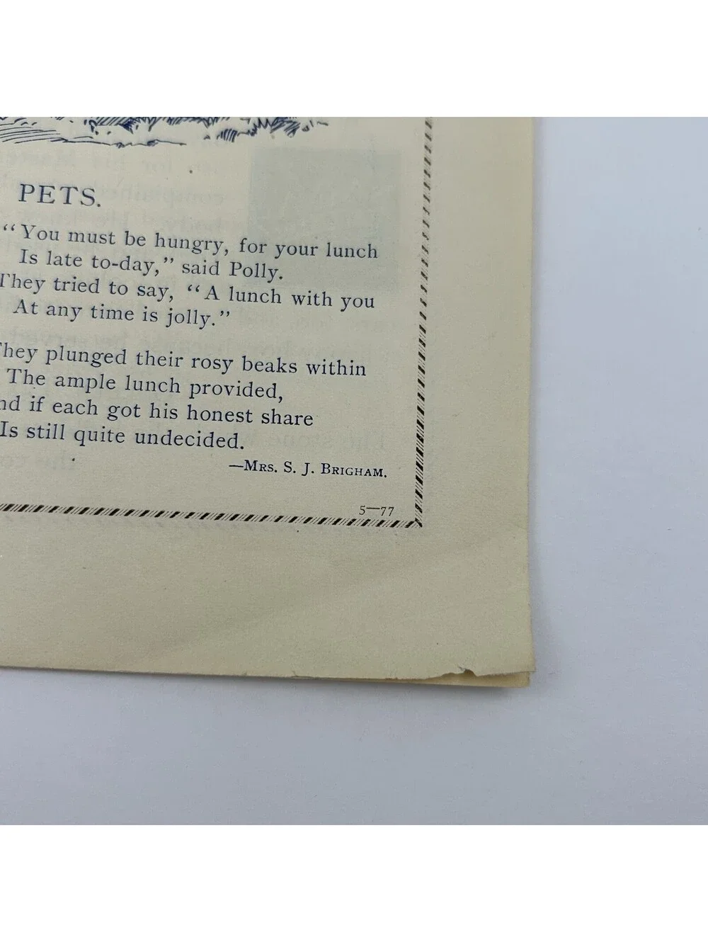 1896 Picture Lesson Paper Vintage Sunday School Ephemera Pollys Pets Ducks   C20